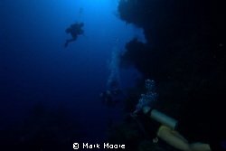 North Wall Grand Cayman by Mark Moore 